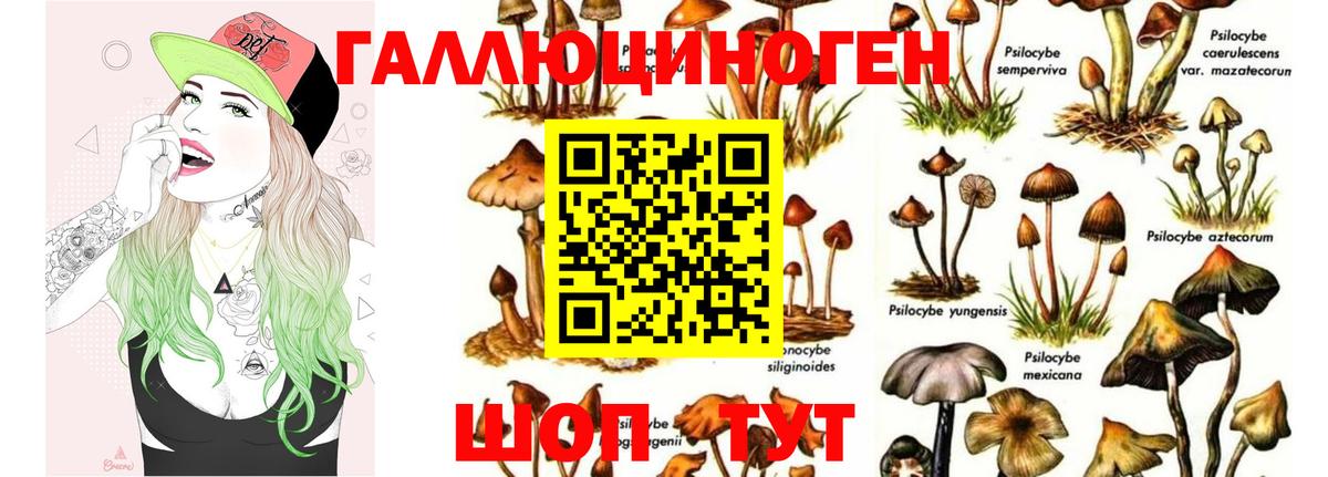 Галлюциногенные грибы Cubensis Дубна