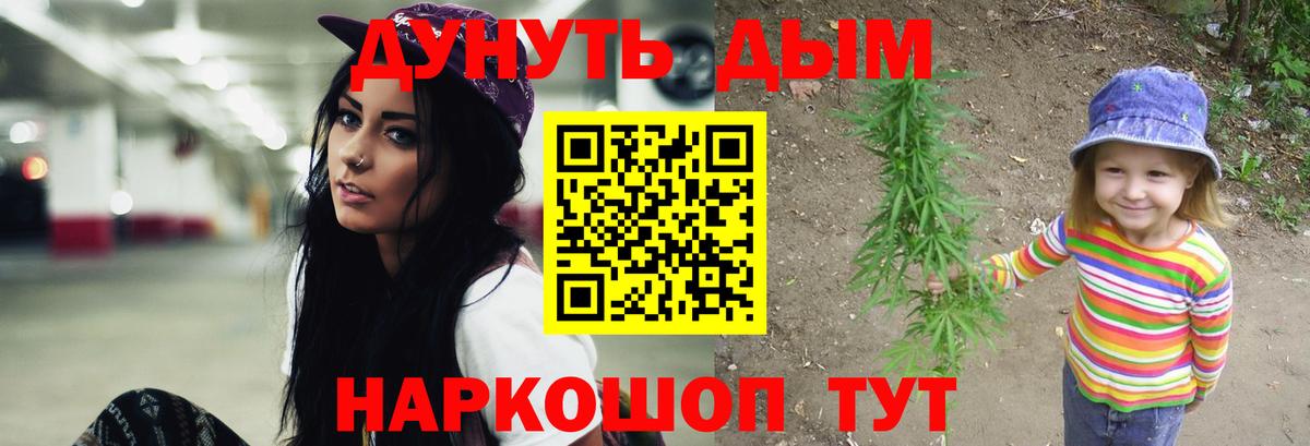 Конопля сатива Дубна
